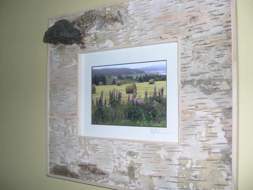 Birch frame with fungus