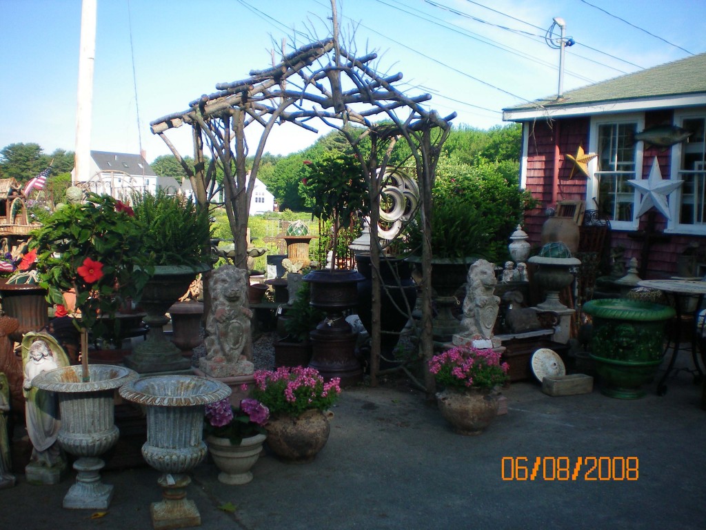 sun-arbor