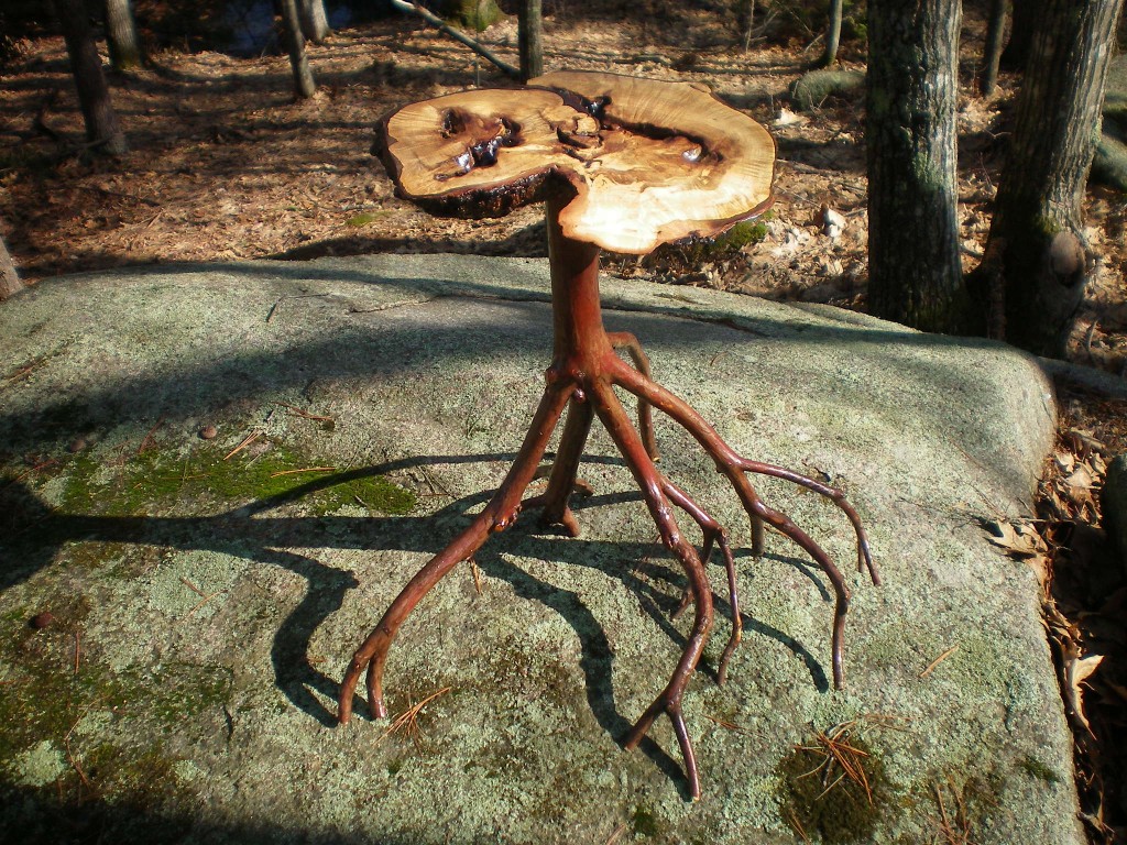 Maple burl Maple burl