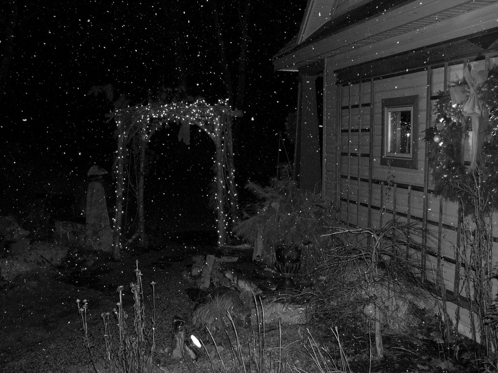 December at the Studio