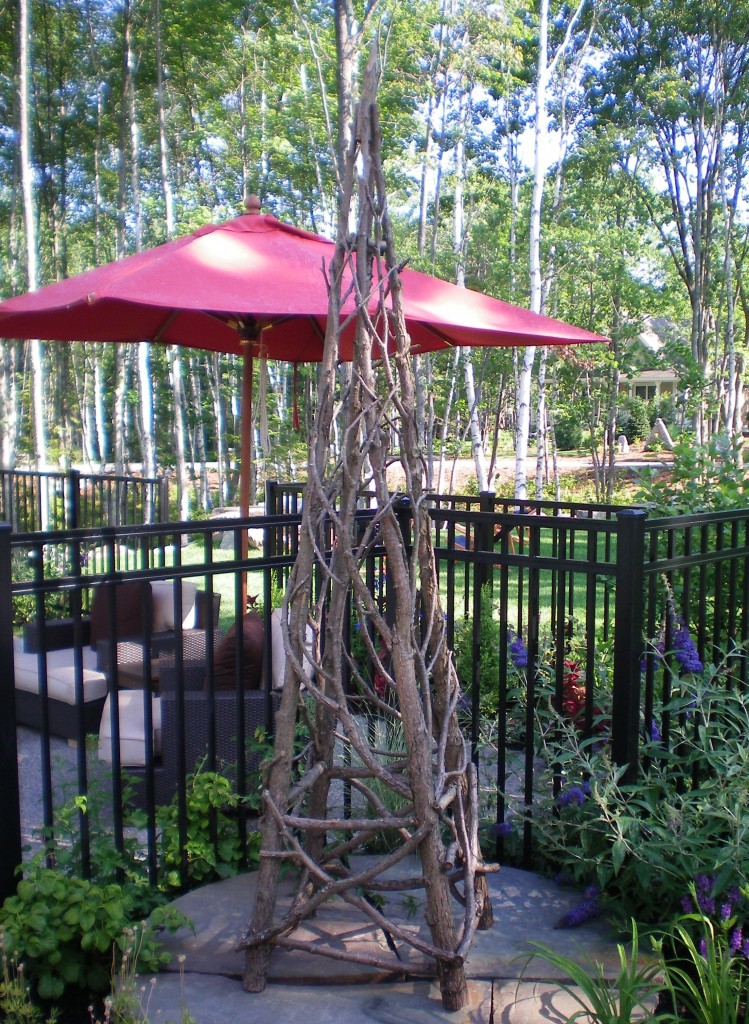 Hidden Pond I 2008 013