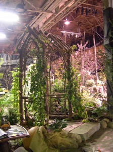 Flower Show 030