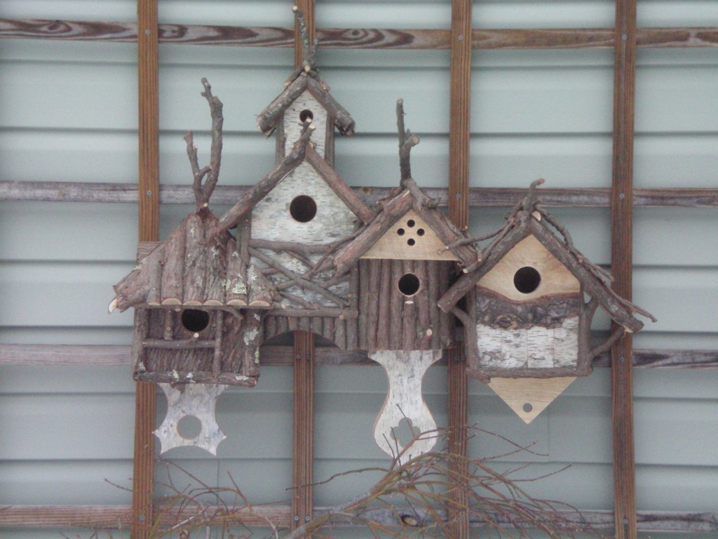 bird condo 2-2011 002
