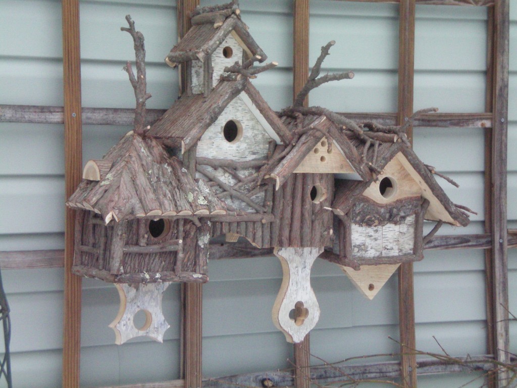 bird condo 2-2011 004