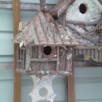bird condo 2-2011 006