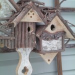 bird condo 2-2011 007