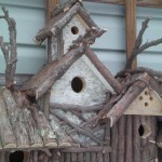 bird condo 2-2011 008