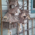 bird condo 2-2011 009