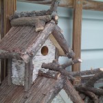 bird condo 2-2011 010