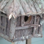 bird condo 2-2011 011