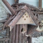 bird condo 2-2011 013