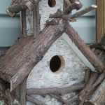bird condo 2-2011 014