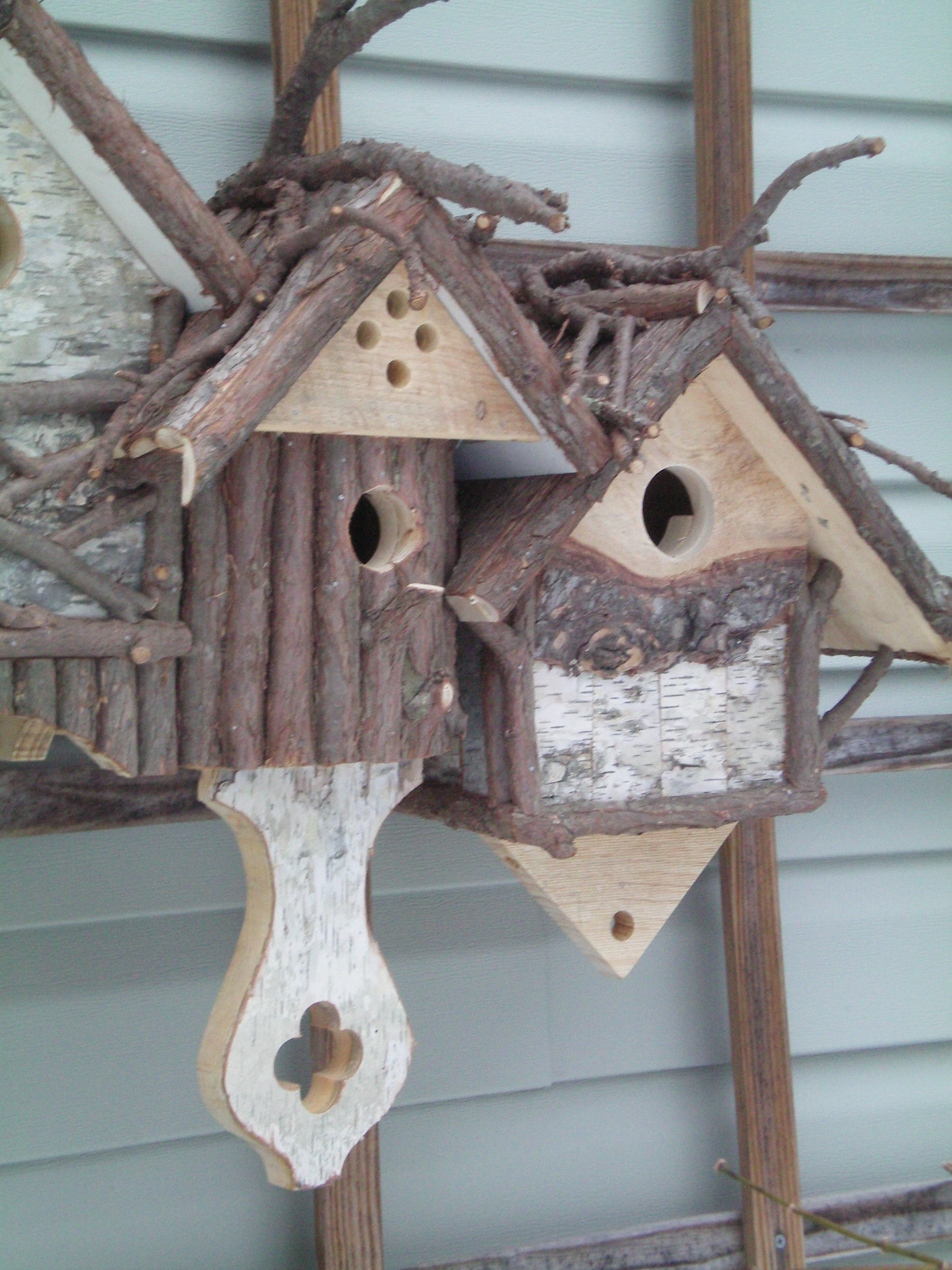 bird condo 2-2011 007